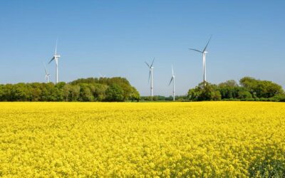 Immobilien: Wie der Traum vom Haus im Grünen wahr werden kann