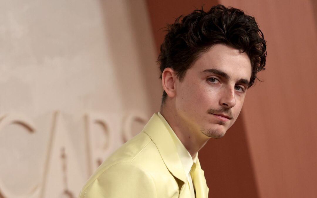 Fans spekulieren: Trägt Timothée Chalamet jetzt eine Glatze?