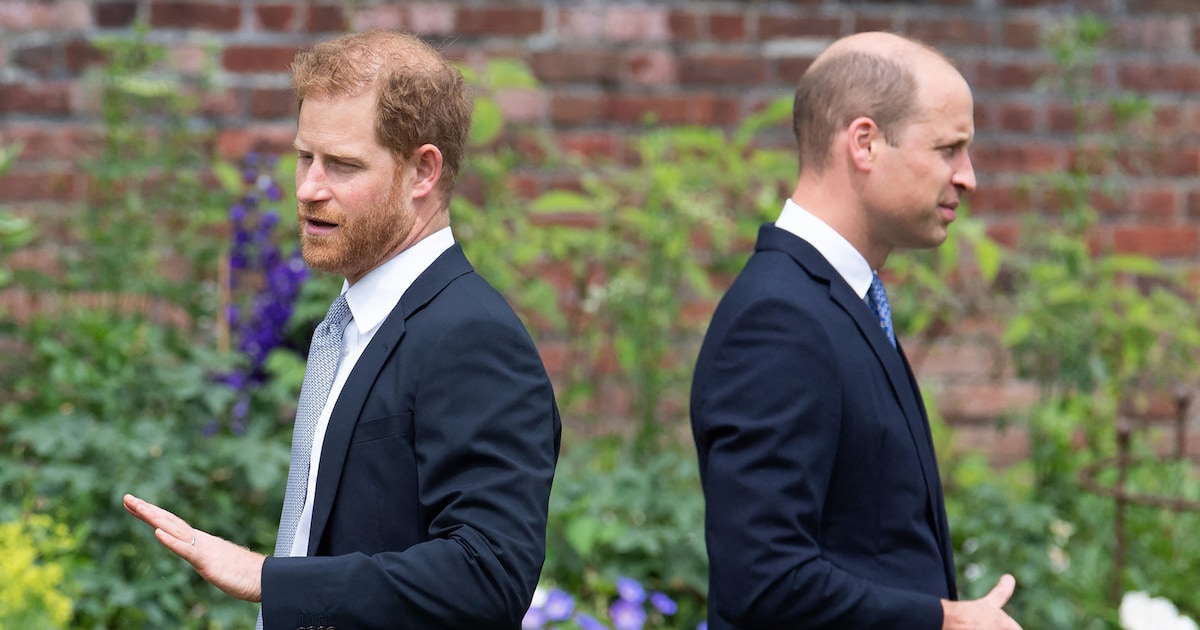 Insider glaubt: Hinter Zerwürfnis von Harry & William steckt mehr