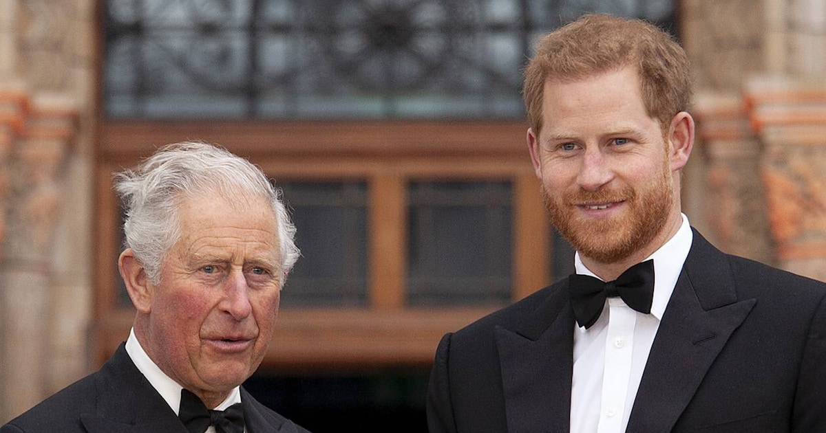 Prinz Harry: Erste Worte zum Wiedersehen mit König Charles