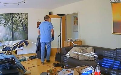 Beamten-Skandal in Hessen: Klau-Polizist belästigte Kollegin mit Dildo