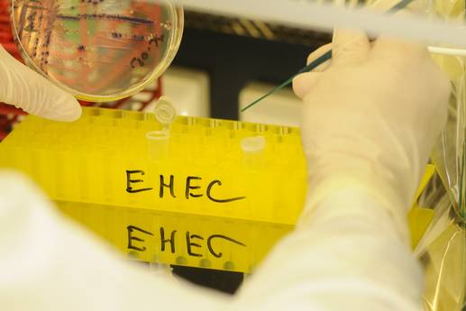 In Mecklenburg-Vorpommern: EHEC-Ausbruch: Unbekannte Infektionsquelle verursacht Besorgnis