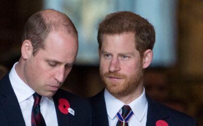 Harry sendet versteckte Botschaft: „Seitenhieb gegen seinen Bruder“