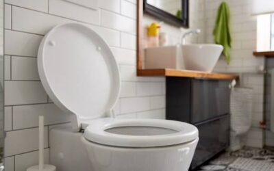 Toilette: Können Ratten wirklich übers Klo ins Bad kommen?