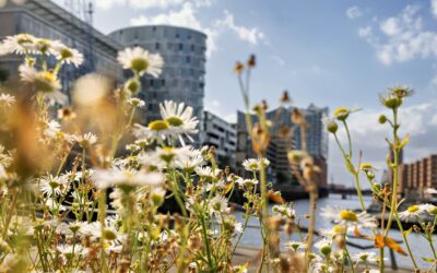 Wetter bringt Starkregen mit 100 Liter: Änderung erst Ende der Woche