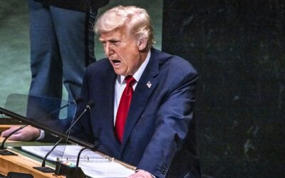 Experte über Wutrede zur Migration: „Trump trifft einen wunden Punkt“