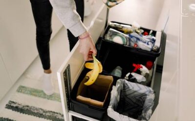 Sommer-Hitze: Ein Hausmittel ist gut gegen Maden und Fliegen im Abfall