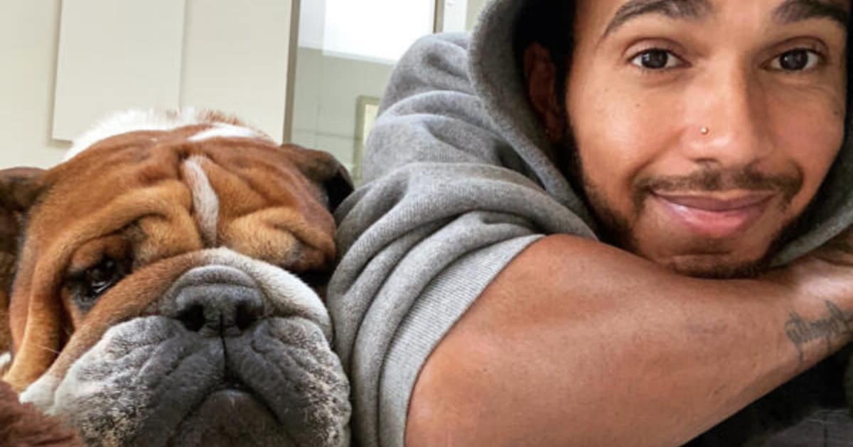 „Engel und wahrer Freund“: Lewis Hamilton trauert um seinen Hund Roscoe