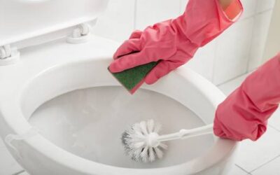 Saubere Klobürste: Ein Hausmittel ist besonders effektiv