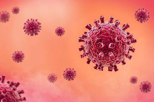 Selten, aber gefährlich: Mann stirbt an Borna-Virus: Was du jetzt über die tückische Krankheit wissen solltest
