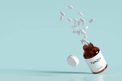 Anti-Aging-Wundermittel NR und NMN: So bleibst du fit bis ins Alter: Diese 2 Nahrungsergänzungsmittel helfen