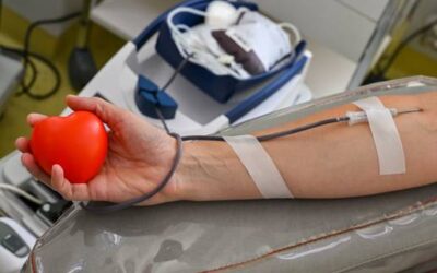 Erkältungszeit: Blutspende nach Infekt: Diese Wartezeit solltest du einhalten