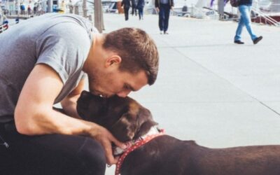 „Fast 15 Jahre an unserer Seite“: Lukas Podolski trauert um Hündin Holly