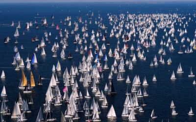 Die Welt in Bildern : Blickfang