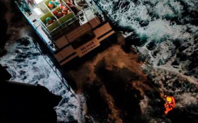 Orcas versenken Jacht von fünfköpfiger Familie