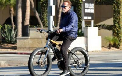 Schauspieler, Politiker, Fitnesslegende: Arnold Schwarzenegger mit 78 Jahren: So sieht sein tägliches Training für ein langes Leben aus