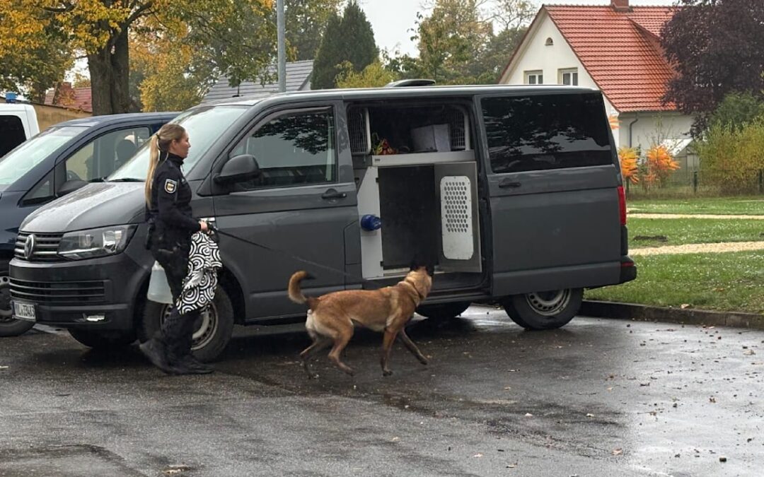 Vermisster Fabian aus Güstrow tot: Jetzt jagen Spürhunde den Killer