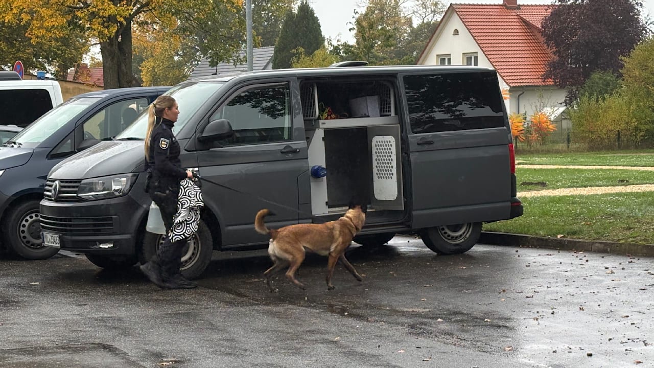 Vermisster Fabian aus Güstrow tot: Jetzt jagen Spürhunde den Killer