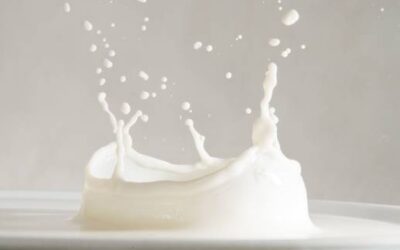 Infektionsrisiko: Hype-Getränk Rohmilch: Wer besser vorsichtig sein sollte