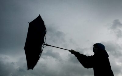 Sturm fegt über Deutschland: Orkanartige Böen erwartet