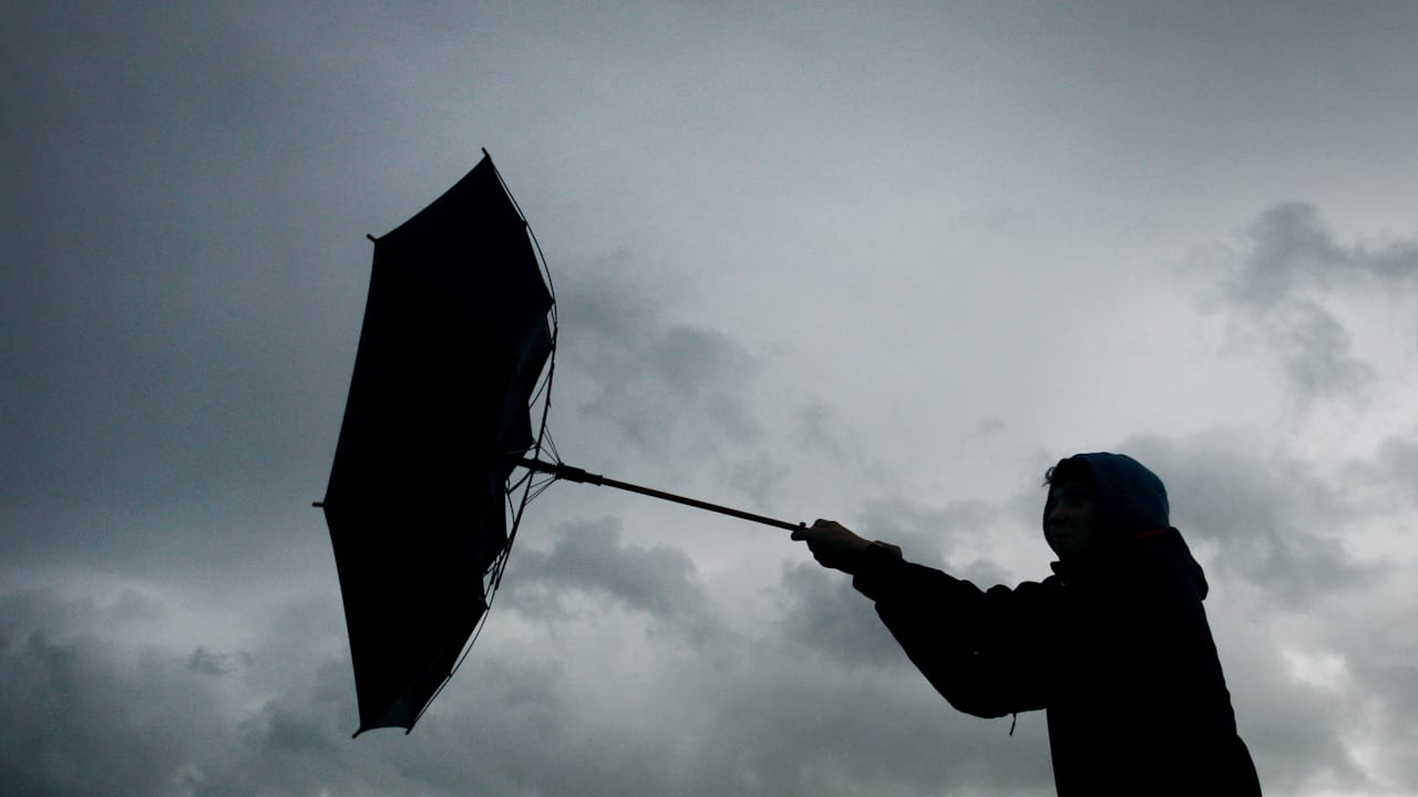 Sturm fegt über Deutschland: Orkanartige Böen erwartet