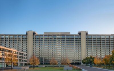 Kommentar: JP Morgens Neubau ist günstiger als die Bundesbank-Sanierung – das ist absurd