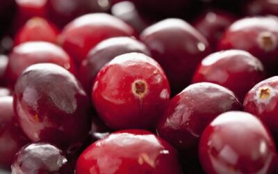 Knallrote Früchte: Cranberrys: Sauer im Geschmack – und trotzdem echte Zuckerbomben