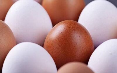 Auf Kennzeichnung achten: Braune vs. weiße Eier: Was ist der Unterschied – und welche sind gesünder?
