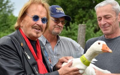 Frank Zander: Seine Gans Erna fällt der Vogelgrippe zum Opfer