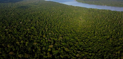 COP30 in Belém: Klimaverhandlungen als Kampfsportart – Kolumne