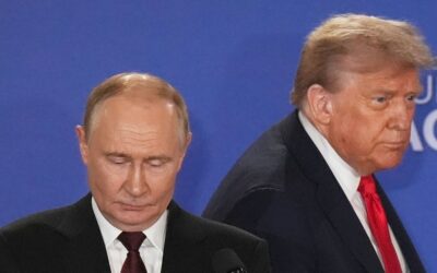 +++ Ukraine-Krieg +++: Kreml hält Trump-Putin-Treffen aktuell nicht für denkbar