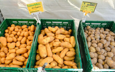 Trotz Über-Ernte in Deutschland: Supermärkte setzen auf Kartoffeln aus Ägypten