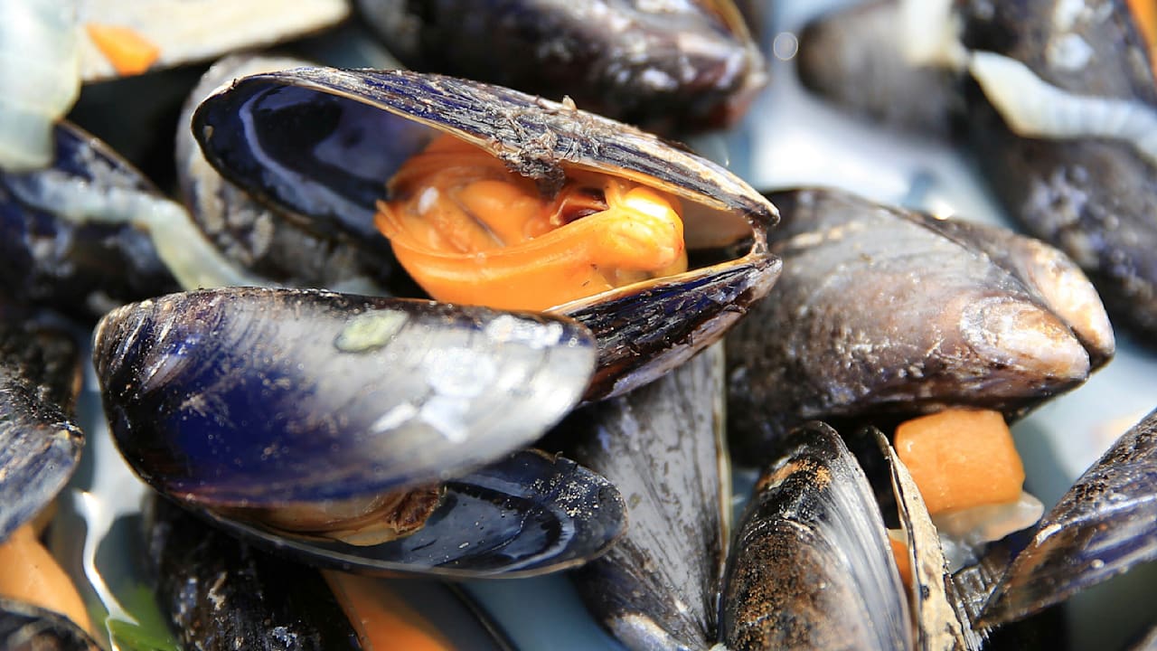 lebensmittelvergiftung-woran-erkenne-ich-verdorbene-muscheln.jpg Lebensmittelvergiftung: Woran erkenne ich verdorbene Muscheln?