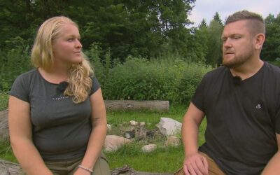 Hofwochen-Desaster: „Bauer sucht Frau“-Kandidat bricht vorzeitig ab