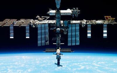 Internationale Raumstation: Moos überlebt Monate im All