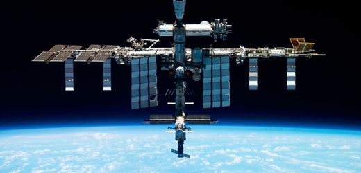 Internationale Raumstation: Moos überlebt Monate im All