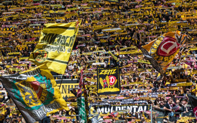 Er arbeitete schon für Champions-League-Klubs: Dynamo Dresden plant Manager-Sensation