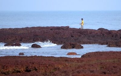 Goa: Viele Tote bei Brand in indischem Nachtclub