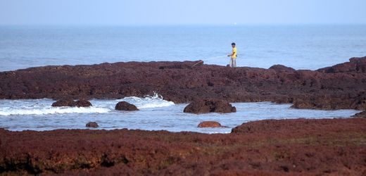 goa-viele-tote-bei-brand-in-indischem-nachtclub.jpg Goa: Viele Tote bei Brand in indischem Nachtclub