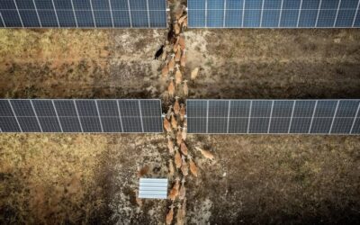 Energieversorgung: Fehlende Nachfrage trotz negativer Strompreise: Spaniens Energiewende steckt in der Krise