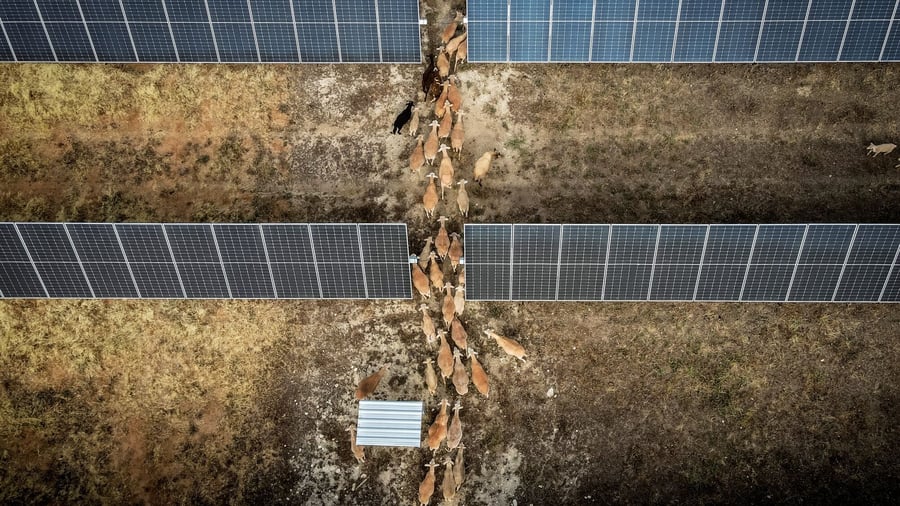 Energieversorgung: Fehlende Nachfrage trotz negativer Strompreise: Spaniens Energiewende steckt in der Krise