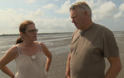 „Von meiner Seite fehlen Gefühle“: „Bauer sucht Frau“-Jörg serviert zweite Hofdame ab