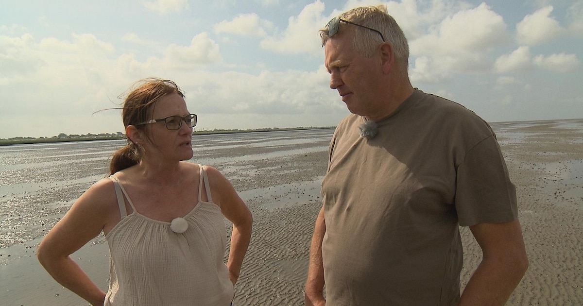 von-meiner-seite-fehlen-gefuehle-bauer-sucht-frau-joerg-serviert-zweite-hofdame-ab.jpeg „Von meiner Seite fehlen Gefühle“: „Bauer sucht Frau“-Jörg serviert zweite Hofdame ab