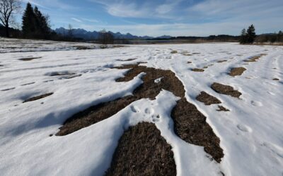 Winteranfang bringt Kältewelle: Ab jetzt werden die Tage länger und kälter
