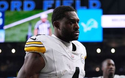 NFL: DK Metcalf von den Pittsburgh Steelers wegen Fan-Attacke suspendiert