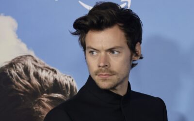 Harry Styles hat mit Umbau seines Millionenanwesen begonnen