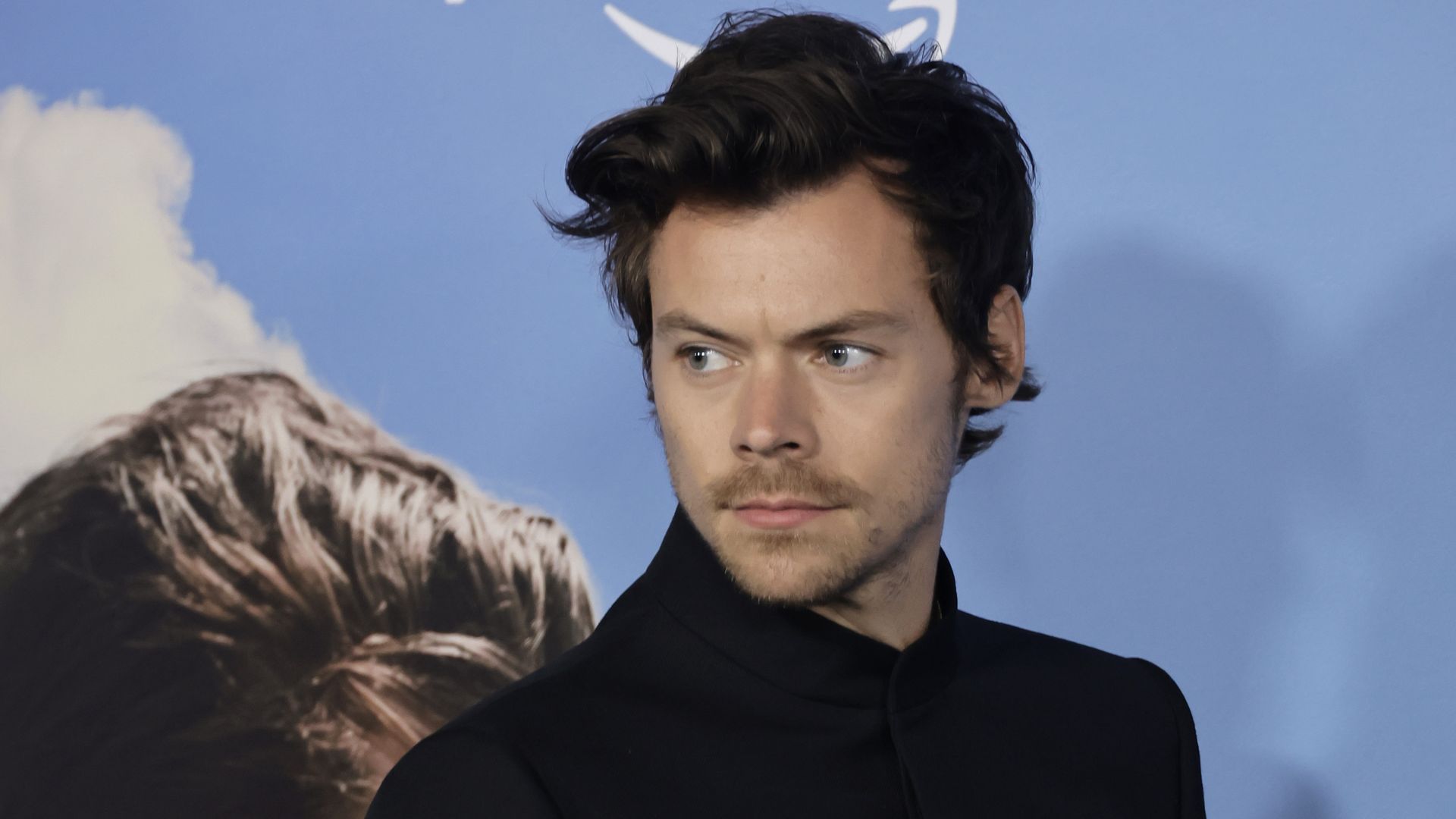 Harry Styles hat mit Umbau seines Millionenanwesen begonnen