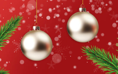 Frohe Weihnachten! Wir schenken Ihnen BILDplus