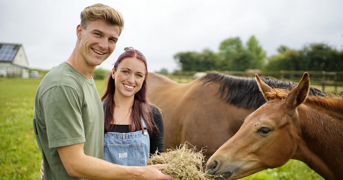 „Bauer sucht Frau“-Paar: Friedrich und Laura planen den nächsten Schritt