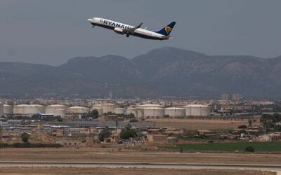 Mallorca: Entlaufener Hundewelpe sorgt am Flughafen für Aufregung